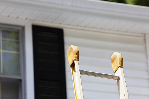 Best Siding Painting and Refinishing  in Meiners Oaks, CA